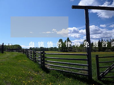 盘锦债务律师免费咨询 盘锦债务律师免费咨询
