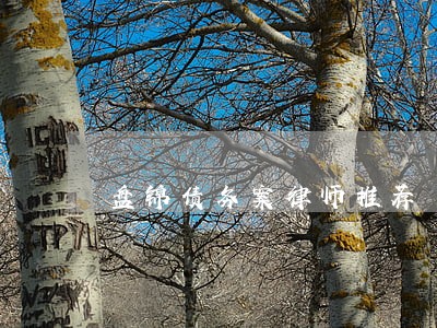 盘锦债务案律师推荐 盘锦债务案律师推荐