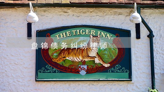 盘锦债务纠纷律师 盘锦债务纠纷律师