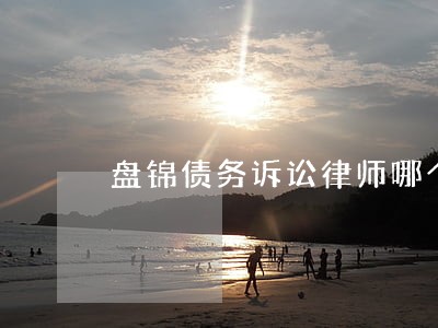 盘锦债务诉讼律师哪个好