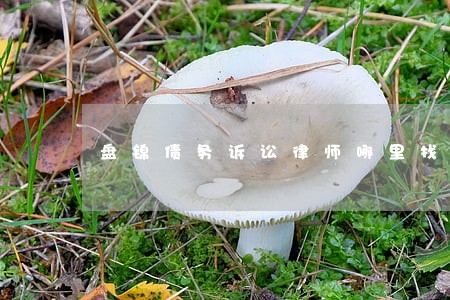 盘锦债务诉讼律师哪里找 盘锦债务诉讼律师哪里找