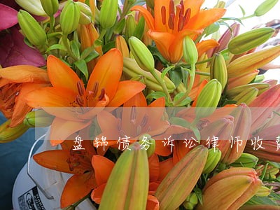 盘锦债务诉讼律师收费标准