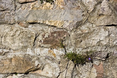 盘锦司法局书记 盘锦司法局书记