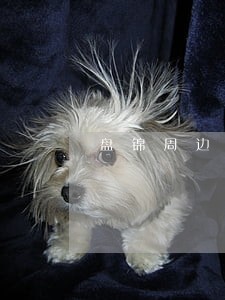 盘锦周边债务合同律师哪里找 盘锦周边债务合同律师哪里找
