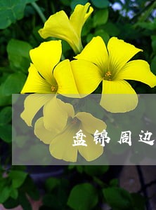 盘锦周边债务律师咨询 盘锦周边债务律师咨询