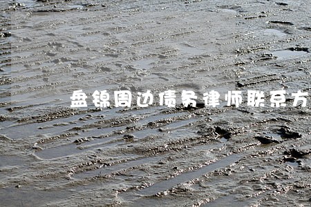 盘锦周边债务律师联系方式 盘锦周边债务律师联系方式