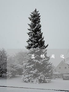 盘锦周边重大债务律师免费咨询 盘锦周边重大债务律师免费咨询