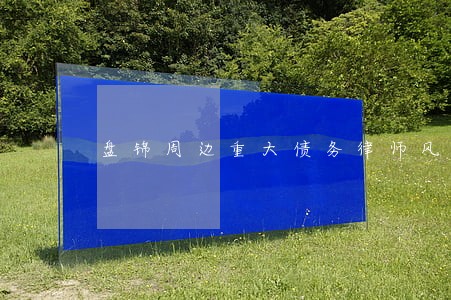 盘锦周边重大债务律师风险代理 盘锦周边重大债务律师风险代理