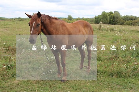 盘锦处理保外就医法律问题律师 盘锦处理保外就医法律问题律师