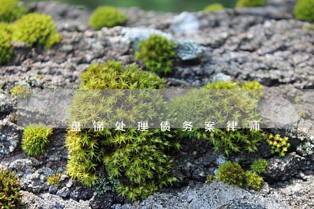 盘锦处理债务案律师 盘锦处理债务案律师