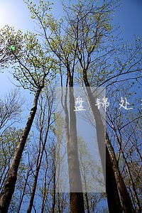 盘锦处理债权债务律师 盘锦处理债权债务律师