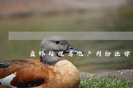 盘锦处理房地产纠纷法律问题律师 盘锦处理房地产纠纷法律问题律师