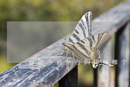 盘锦市债务合同律师哪个好 盘锦市债务合同律师哪个好