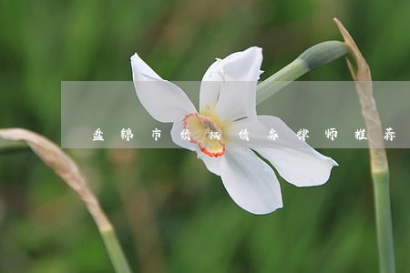 盘锦市债权债务律师推荐 盘锦市债权债务律师推荐