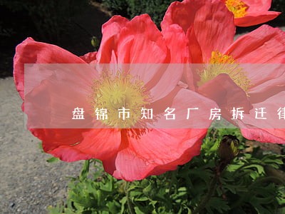 盘锦市知名厂房拆迁律师 盘锦市知名厂房拆迁律师