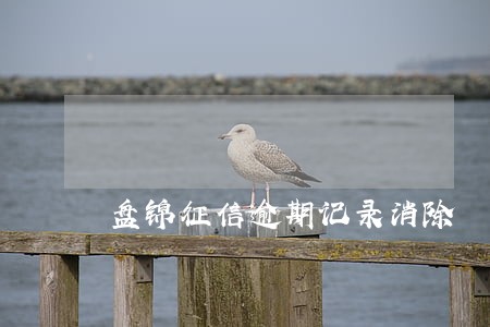 盘锦征信逾期记录消除 盘锦征信逾期记录消除