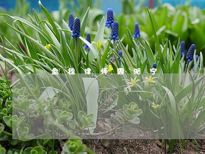 盘锦律师周湘宁 盘锦律师周湘宁