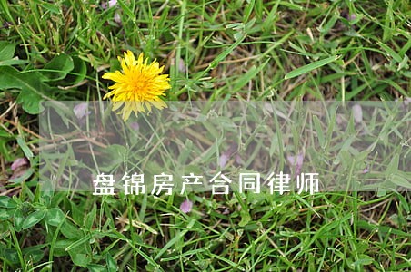 盘锦房产合同律师