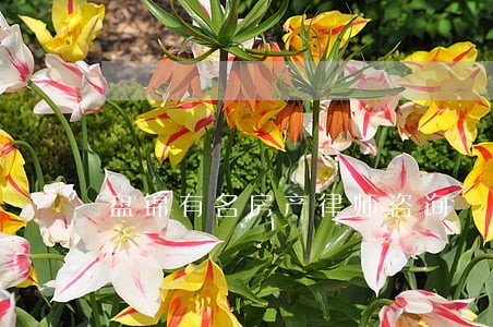 盘锦有名房产律师咨询 盘锦有名房产律师咨询