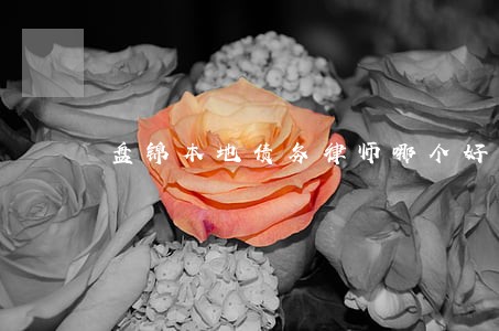 盘锦本地债务律师哪个好 盘锦本地债务律师哪个好