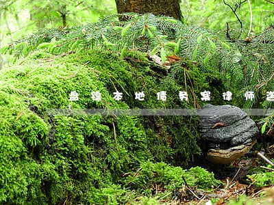 盘锦本地债务案律师咨询 盘锦本地债务案律师咨询