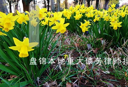 盘锦本地重大债务律师排行 盘锦本地重大债务律师排行