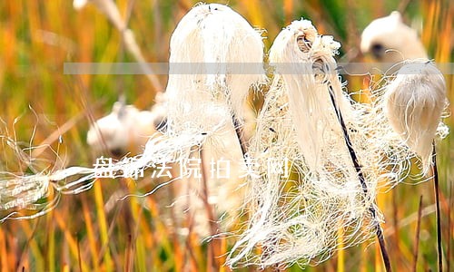 盘锦法院拍卖网 盘锦法院拍卖网