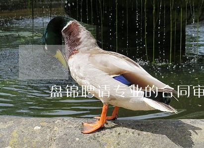 盘锦聘请专业的合同审查律师团队 盘锦聘请专业的合同审查律师团队