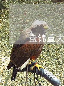 盘锦重大债务律师免费咨询 盘锦重大债务律师免费咨询