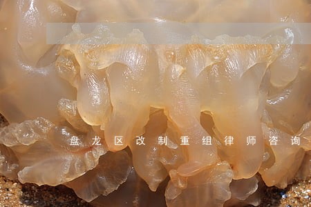 盘龙区改制重组律师咨询电话 盘龙区改制重组律师咨询电话