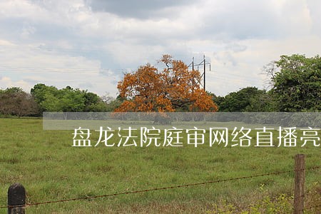 盘龙法院庭审网络直播亮点突出 盘龙法院庭审网络直播亮点突出