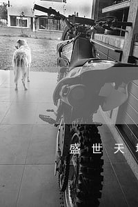 盛世天城法律咨询的微博 盛世天城法律咨询的微博