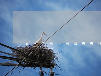 盛京信用卡迟两天天算逾期吗 盛京信用卡迟两天天算逾期吗