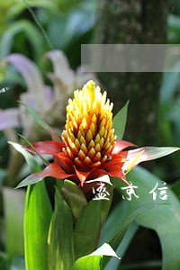 盛京信用卡逾期13000 盛京信用卡逾期13000