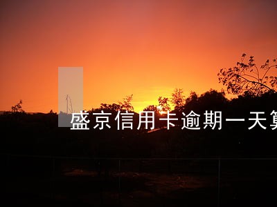 盛京信用卡逾期一天算违约吗 盛京信用卡逾期一天算违约吗