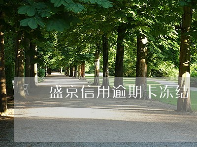 盛京信用逾期卡冻结 盛京信用逾期卡冻结