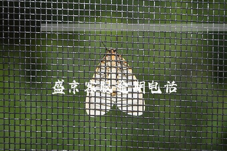 盛京客服逾期电话 盛京客服逾期电话