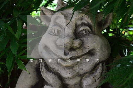 盛京逾期卡被冻结 盛京逾期卡被冻结