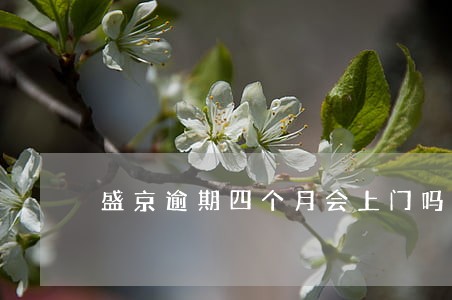 盛京逾期四个月会上门吗 盛京逾期四个月会上门吗