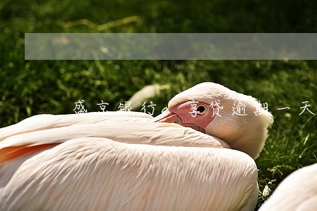 盛京银行e享贷逾期一天 盛京银行e享贷逾期一天