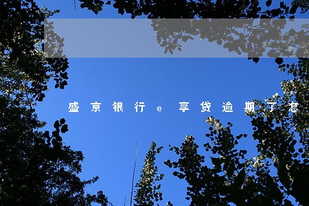 盛京银行e享贷逾期了怎么整 盛京银行e享贷逾期了怎么整
