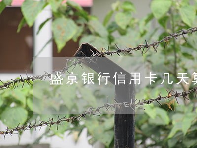 盛京银行信用卡几天算逾期 盛京银行信用卡几天算逾期
