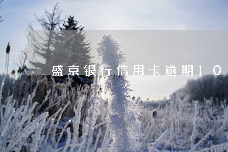 盛京银行信用卡逾期10期 盛京银行信用卡逾期10期