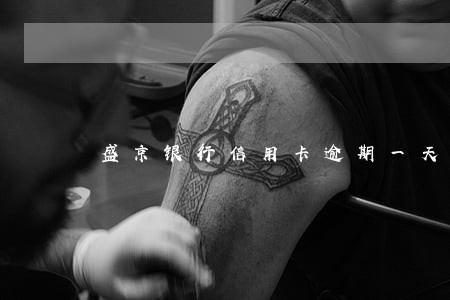 盛京银行信用卡逾期一天多少 盛京银行信用卡逾期一天多少