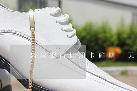盛京银行信用卡逾期一天扣多少钱 盛京银行信用卡逾期一天扣多少钱