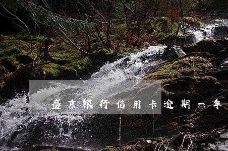 盛京银行信用卡逾期一年多