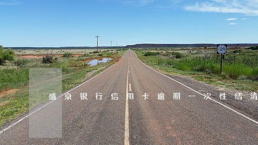 盛京银行信用卡逾期一次性结清 盛京银行信用卡逾期一次性结清