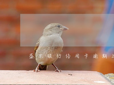 盛京银行信用卡逾期上报