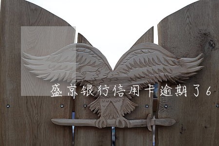 盛京银行信用卡逾期了6个月 盛京银行信用卡逾期了6个月