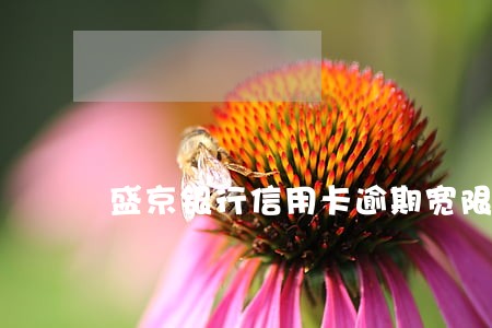 盛京银行信用卡逾期宽限几天 盛京银行信用卡逾期宽限几天